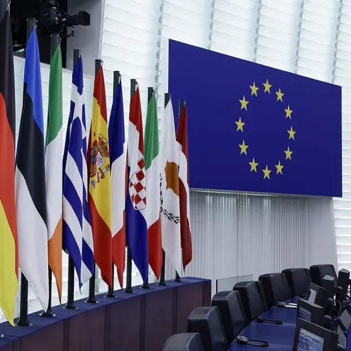 China, EU agree to resume full-fledged legislative exchanges