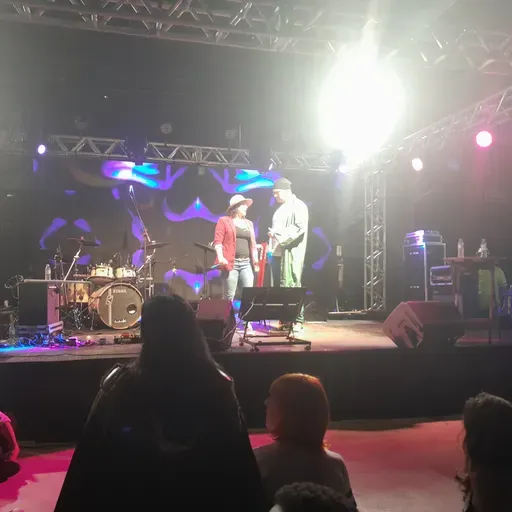 Podcast CineTvNews Virtual # 367 Dubladores One Piece