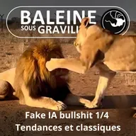 S07E88 Fake, IA et bullshit 1/4 : Les tendances et les classiques (Sylvain Tillon)