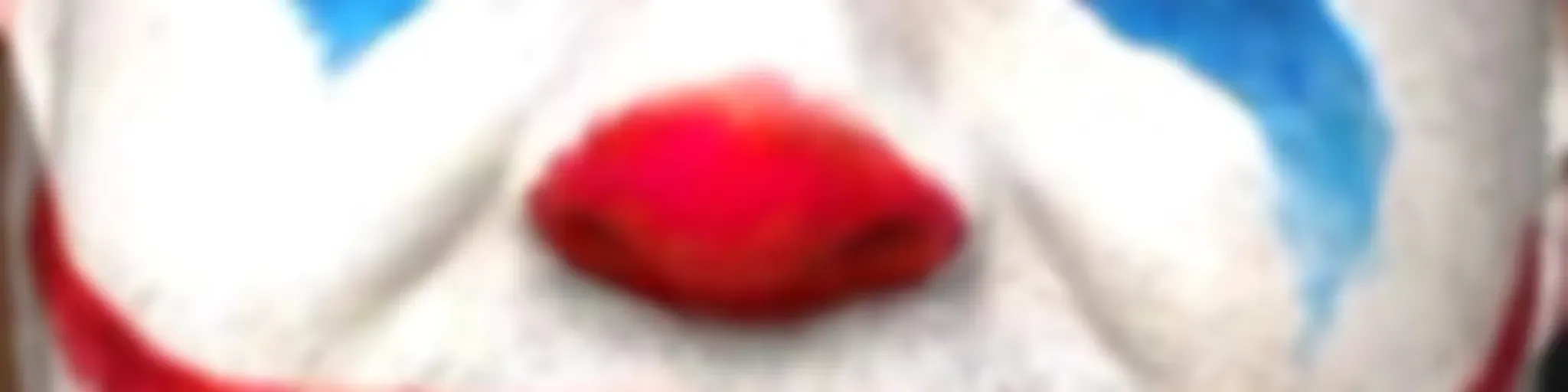 LaVidaDeELSANCHEZ
