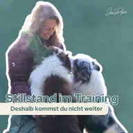 Warum dein Hund tut, was er tut - Dieser Faktor wird beim Training oft vergessen!