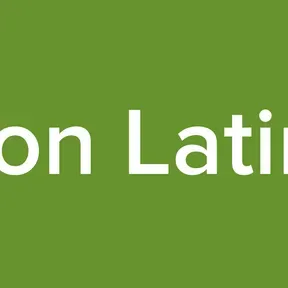 Regueton Latin Music