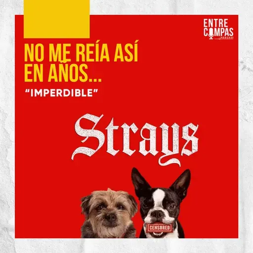 Strays / Hijos de Perra : ¡IMPERDIBLE!