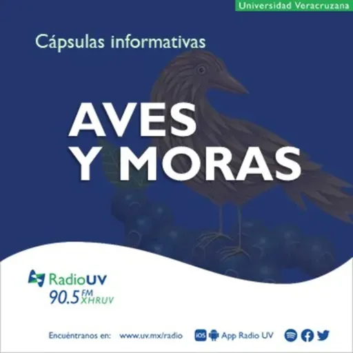 Aves y Moras - Reto de lectura