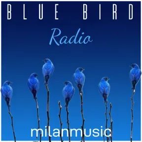 BlueBirdRadio