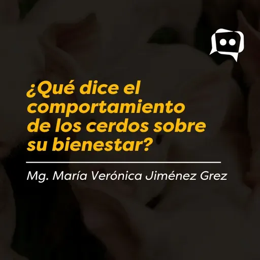 ¿Qué dice el comportamiento de los cerdos sobre su bienestar?