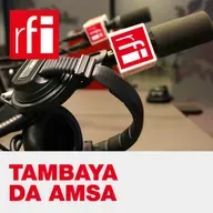 Gaskiyar lamari dangane ayoyin tambayar da ake ɗigawa kan Ingantaccen Iri