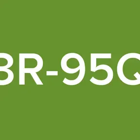3R-95Q