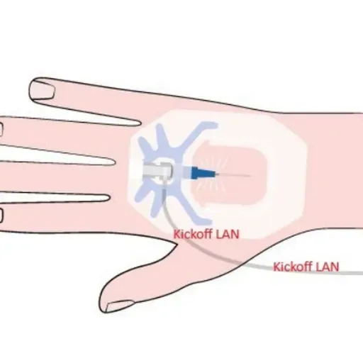 Inject the LAN Directly Into My Veins