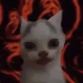 Xddddd