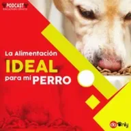 Episodio 123: La alimentación ideal para mi perro