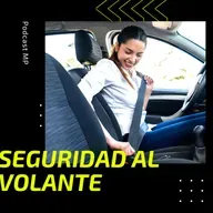 Seguridad al volante