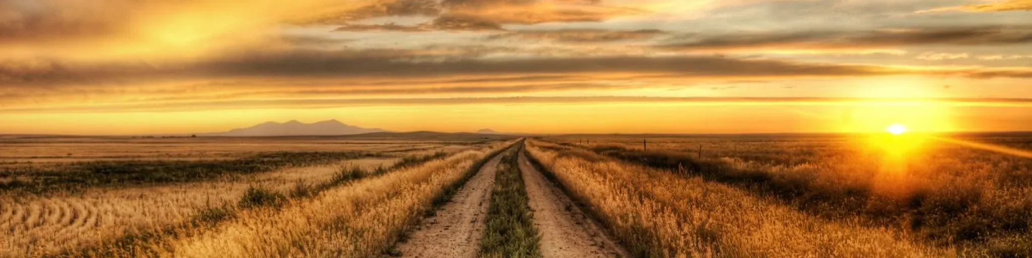 Gold Country