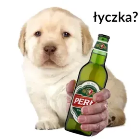 tak12314141