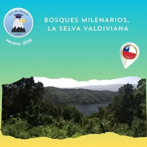 Ojo de Águila Cap 81-  Bosques milenarios, la selva valdiviana...