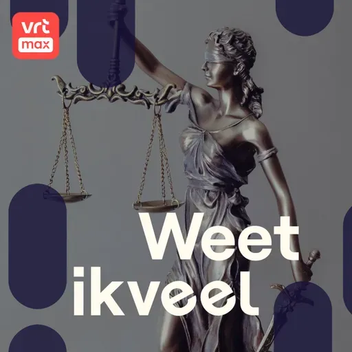 Het Grondwettelijk Hof