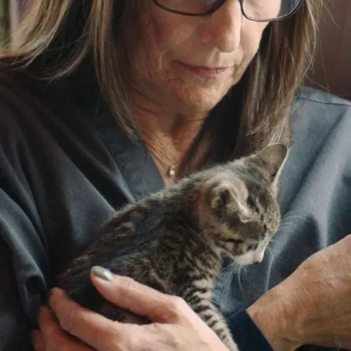 American Cats to have U.S. debut at Hamptons Film Festival