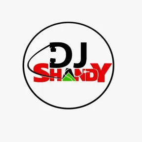 SHANDY RADIO