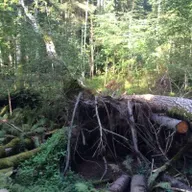 Национальный парк Слитере: 100 лет нетронутой природы