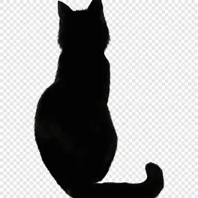 BlackRedCatFm