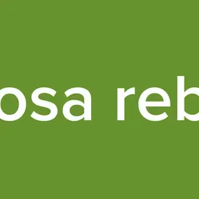 La prosa rebelde