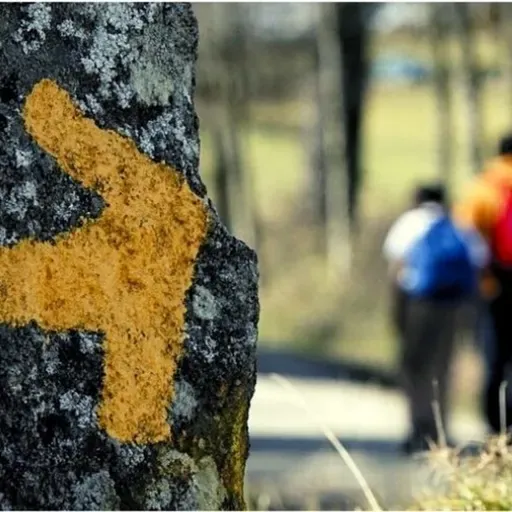 Conselhos para uma boa direção espiritual