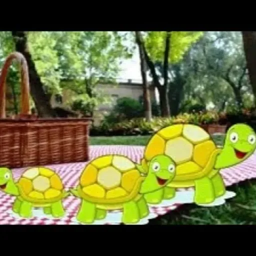 O piquenique das tartarugas