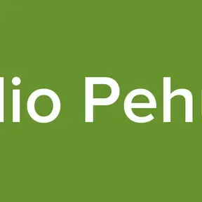 Radio Pehuen