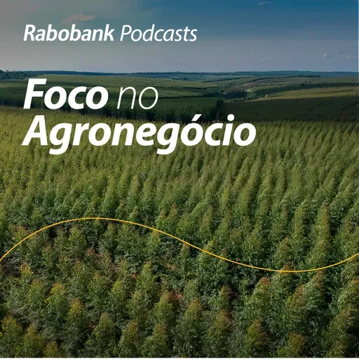 Celulose brasileira posicionada para crescer no mercado Americano