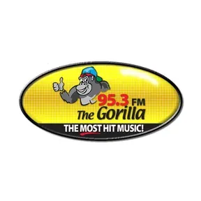 WZNF Gorilla 95.3 FM