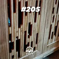 #205 - La delgada linea del ego contenedor.