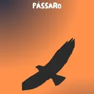 PÁSSARO