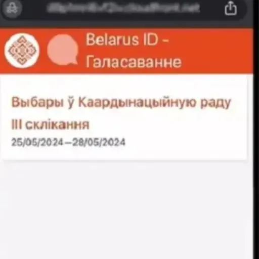 Алена Прыходзька, Павел Лібер. DDoS-атакі ці ігнор выбарцаў: ад чаго залежаў вынік выбараў у КР