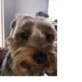 Loki FM