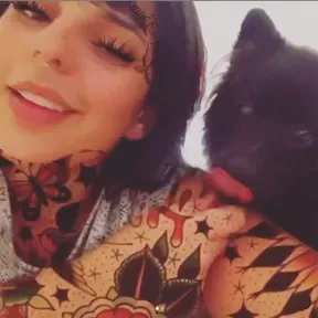 as cachorrada da asuna