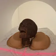 Se de vilde billeder: Moderne CT-skanner afslører nye detaljer i 2.300 år gamle egyptiske mumie-rester