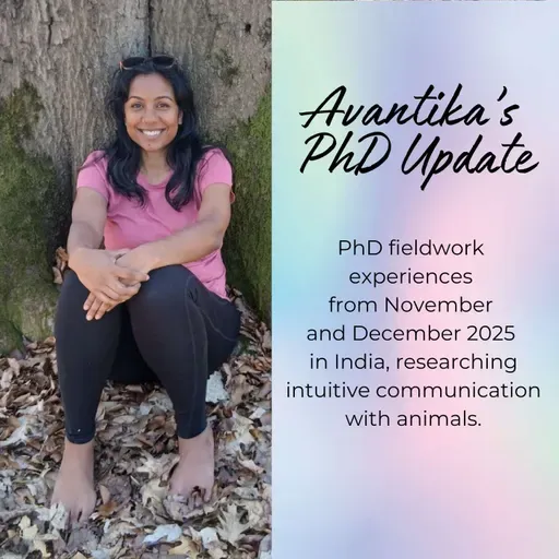 Episode 45: Avantika's Reflections of PhD Fieldwork in India