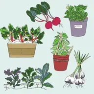 Re-Conectar con la Naturaleza para Sanar | Huerto Tlatelolco en CDMX | Entrevista con Gaby Vargas