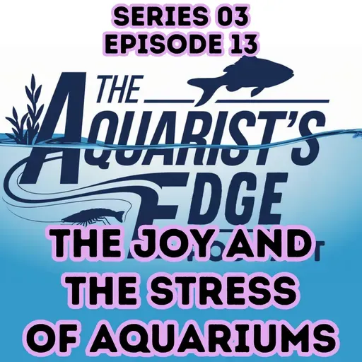 The Joy And The Stress Of Aquariums