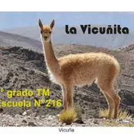 La vicuñita