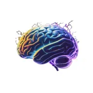 Modafinil in Canada 2026: My Guide