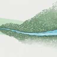 TEACHING BOX 19B—A Trickle Becomes a Torrent!