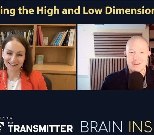 BI 226 Tatiana Engel: The High and Low Dimensional Brain
