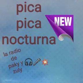 Pica pica nocturna