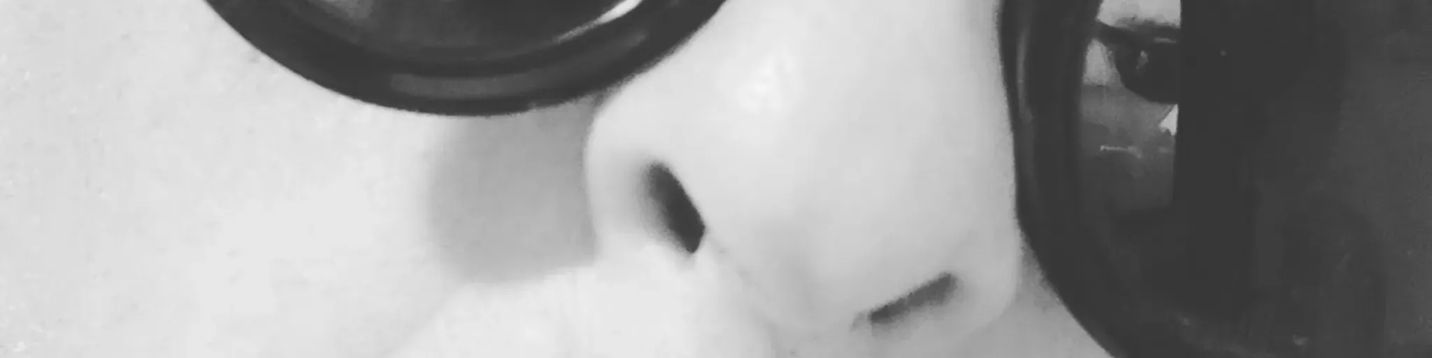 Coletânea S João de Campina Grande