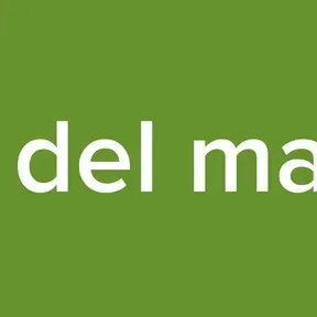 radio del maestro