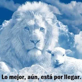 Tiempos del fin