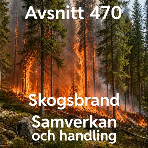 470. Skogsbrand, samverkan- och handlingsprincipen