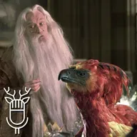 8x03 El de las curiosidades de rodaje (y otras cosas) de Harry Potter