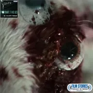 Alien: Earth 1x06 - 'The Fly'